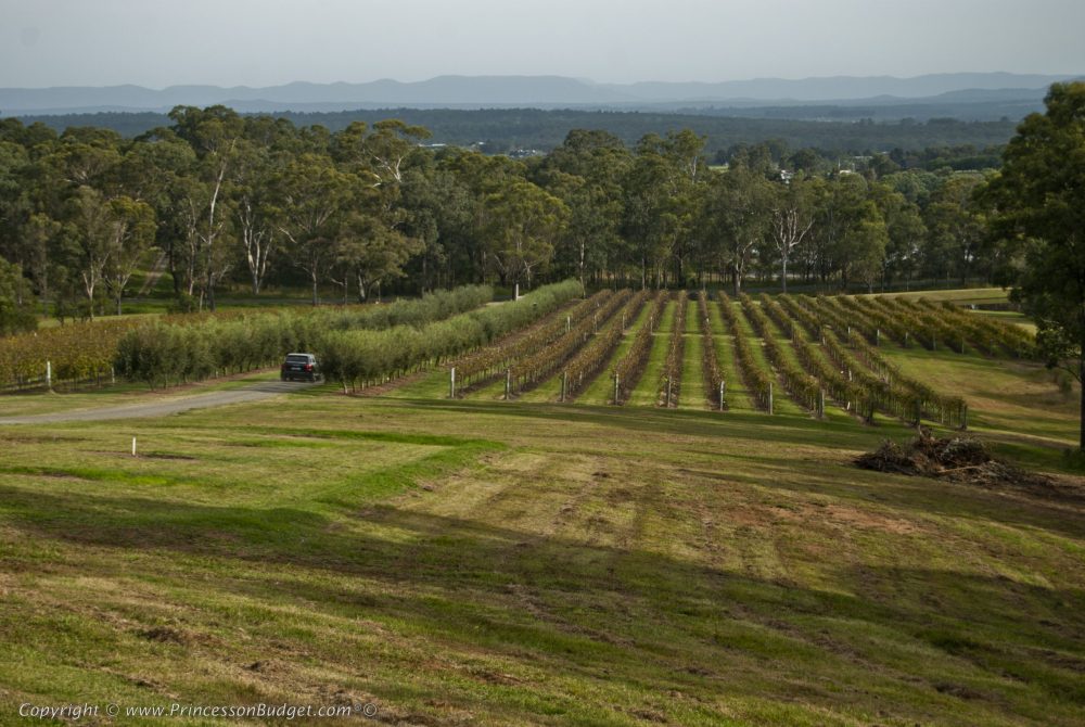 You are currently viewing Sydney Day Trips – Hunter Valley