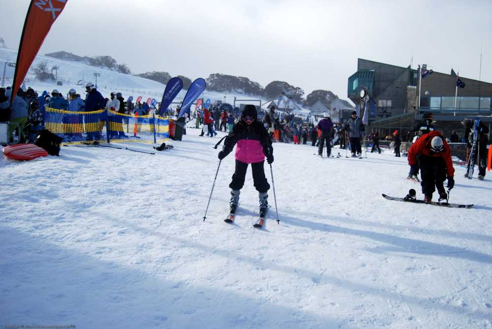 snowy mountains tour from canberra